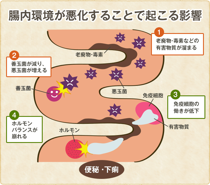 腸内環境が悪化することで起こる影響のイラスト
