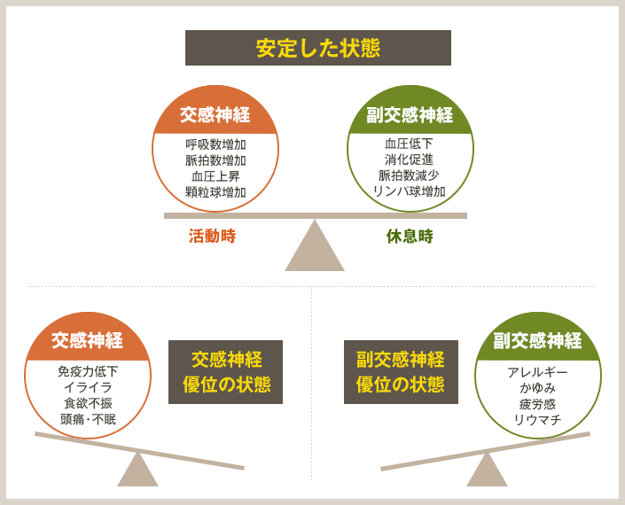 自律神経のイラスト