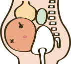 体の回復のイラスト