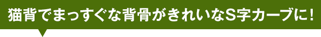 猫背でまっすぐな背骨がきれいなS字カーブに！