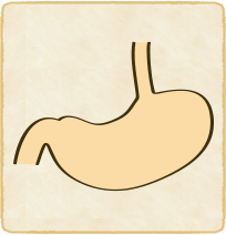 腎下垂のイラスト