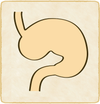 胃下垂のイラスト