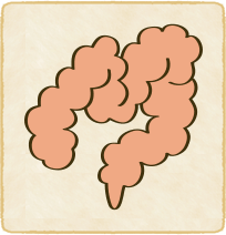 ねじれ腸のイラスト