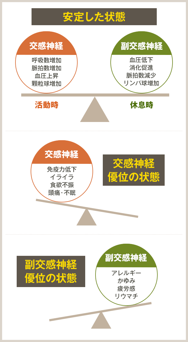 自律神経のイラスト