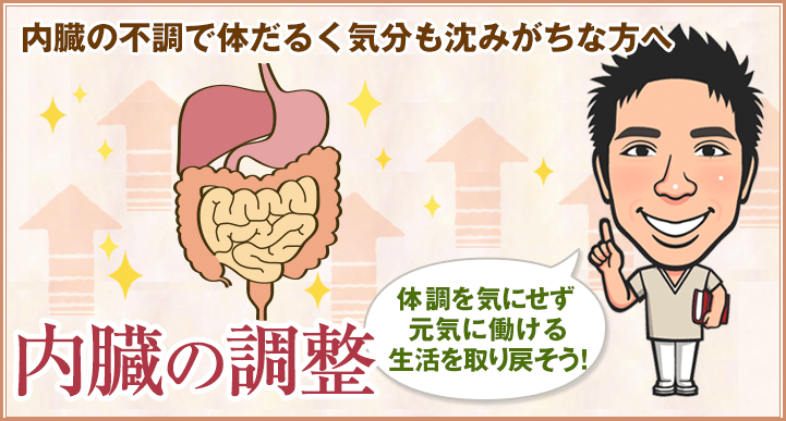 内臓の調整