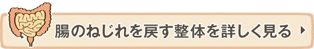 腸のねじれを戻す整体を詳しく見る