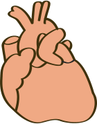 心臓のイラスト