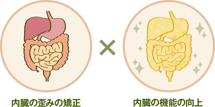 内臓の歪みの調整×内臓の機能の向上