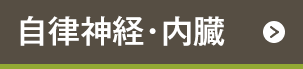 自律神経・内臓